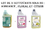 3 x Nettoyant sols Détergent surodorant 2D en 1 L : Ambiance, Citron vert, Floral
